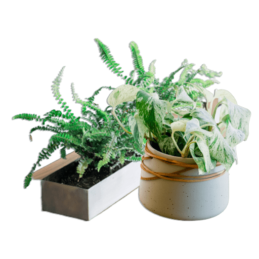 Várakozás termék képre